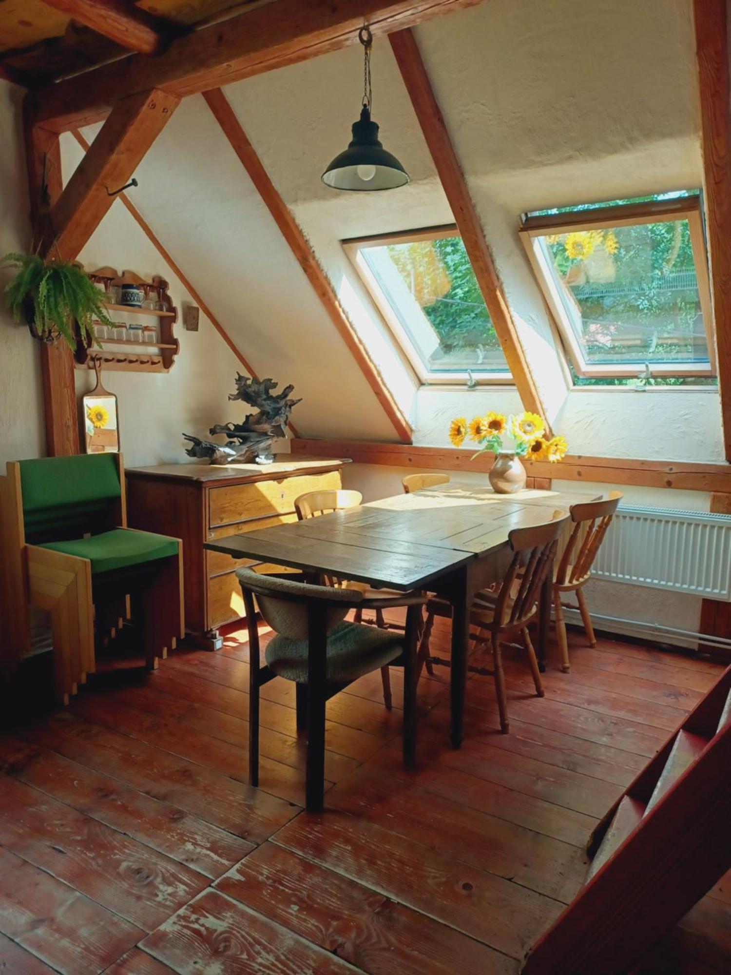 Ferienwohnung Dziupla Świeradów-Zdrój Exterior foto